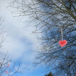 Old Quarry Trail - Ice and beetroot hearts for Valentines