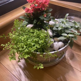 Burke Nursery & Garden Centre - Nurseries & Gardening Near Me - Burke, Virginia