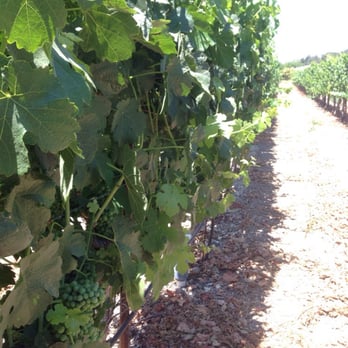 Rideau Vineyard - Wine Tasting Room Near Me - Solvang, California Rideau Vineyard - Wine Tasting Room Near Me - Solvang, California