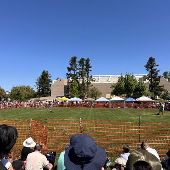 UC Davis Picnic Day - Festivals Near Me - Davis, California UC Davis Picnic Day - Festivals Near Me - Davis, California