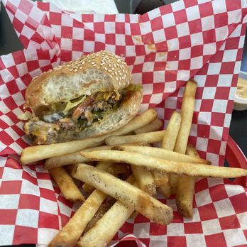 Sky Rocket Burger - junior burger and fries - Burgers Near Me - Dallas, Texas