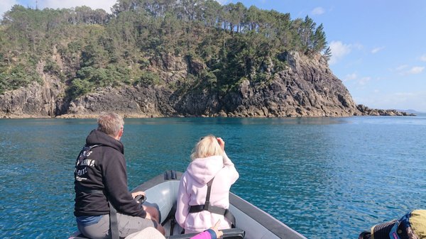 Whitianga Ferry by null