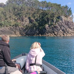 Sea Cave Adventures - Spotting a small