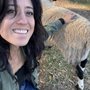 Animal Place