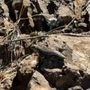 Photo of Matt Davis Trail