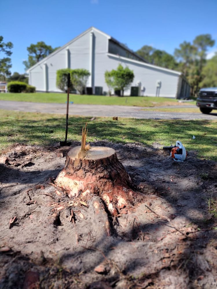 ABRAHAM LANDSCAPING Updated April 2024 14 Photos 5701 Star Grass