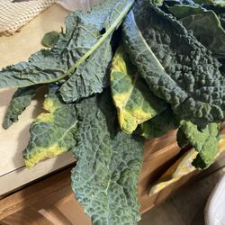 Fred Meyer - Supposedly "fresh" organic kale