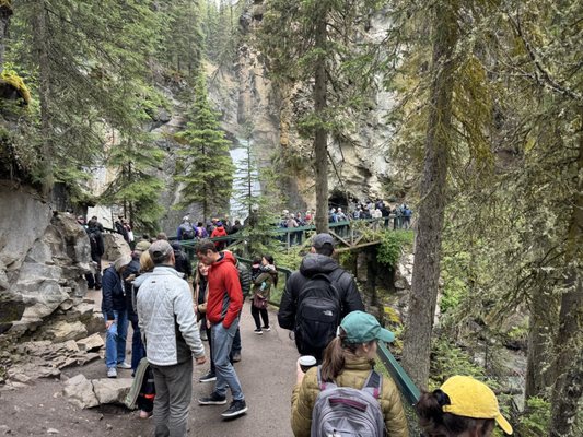 Johnston Canyon by null