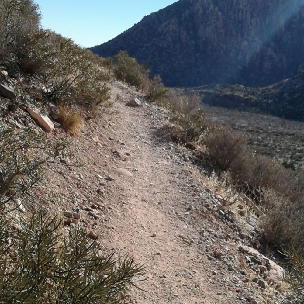 White Rock Loop - Hiking Near Me - Las Vegas, Nevada