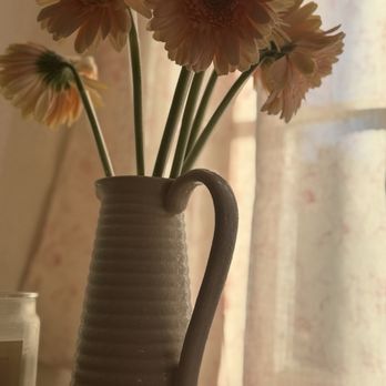 Texas Wholesale Flowers - Florists Near Me - Dallas, Texas Texas Wholesale Flowers - Florists Near Me - Dallas, Texas