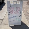 Soul Dog Thrift Store gift card