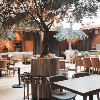 Aba - Mediterranean Near Me - Chicago, Illinois