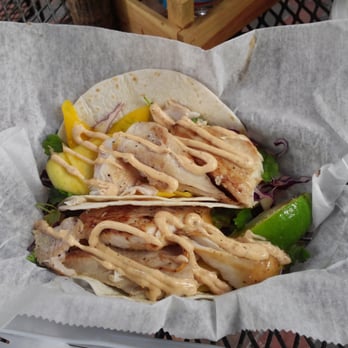 Garbo's Grill - Fish tacos - which in South Florida usually means Mahi-Mahi, a type of dolphin. - Food Trucks Near Me - Key West, Florida Garbo's Grill - Fish tacos - which in South Florida usually means Mahi-Mahi, a type of dolphin. - Food Trucks Near Me - Key West, Florida