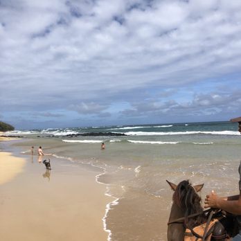CJM Stables - Beach walk - Horseback Riding Near Me