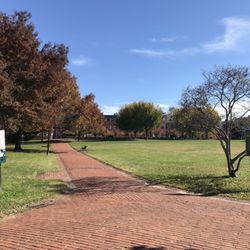 View of Saint Mary's Park toward Paca Street