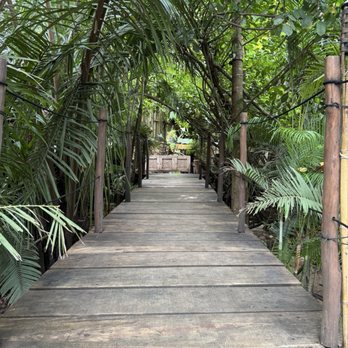 Vallarta Adventures - Tours Near Me - Puerto Vallarta, JAL