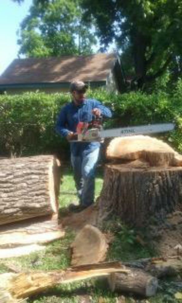 Slide of Flores Tree Service