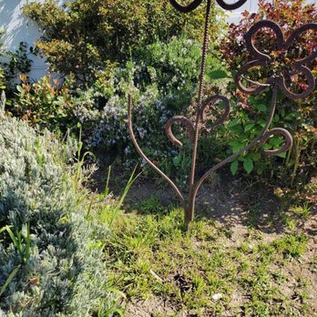 Glenn's Lawn Care - Before - Landscaping Near Me - Lancaster, California Glenn's Lawn Care - Before - Landscaping Near Me - Lancaster, California