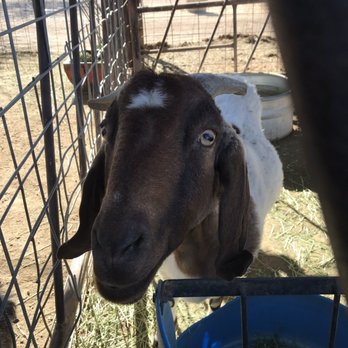 Superstition Farm - Farmers Market Near Me - Mesa, Arizona Superstition Farm - Farmers Market Near Me - Mesa, Arizona