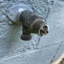 Photo of Morgantown’s Plumber