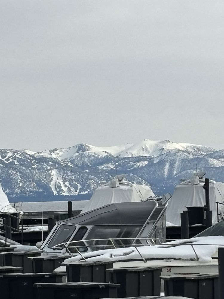 Tahoe City Marina Logo