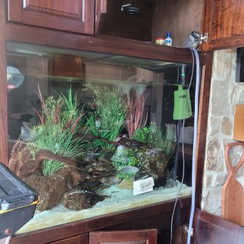 Matt's Aquarium Detailing - Aquarium Services Near Me Matt's Aquarium Detailing - Aquarium Services Near Me