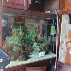 Matt's Aquarium Detailing