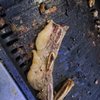 Fat Cow Korean BBQ gift card