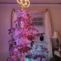 Photo of Territo's Christmas Trees