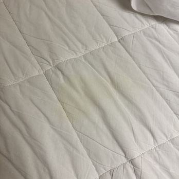 Sleep Inn Lynchburg - University Area & Hwy 460 - And a pee stain on the mattress topper. - Hotels Near Me - Lynchburg, Virginia Sleep Inn Lynchburg - University Area & Hwy 460 - And a pee stain on the mattress topper. - Hotels Near Me - Lynchburg, Virginia