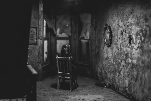 The Freakybuttrue Peculiarium and Museum by null