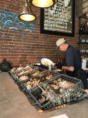 Merchant Oyster Co. by null