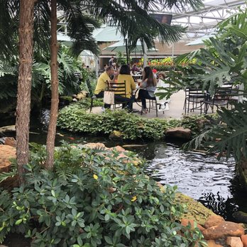 Alldredge Gardens - Nurseries & Gardening Near Me - Midland, Texas