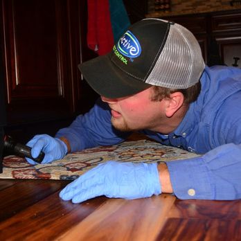 Active Pest Control - Pest Control Near Me - Roswell, Georgia