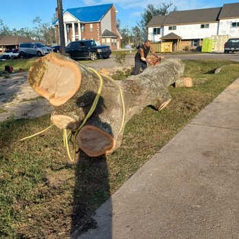 Kevin’s Tree Service - Tree Services Near Me