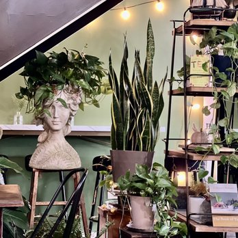 Steep Mountain Tea - Beyond cute decorations - Desserts Near Me - Greensburg, Pennsylvania Steep Mountain Tea - Beyond cute decorations - Desserts Near Me - Greensburg, Pennsylvania