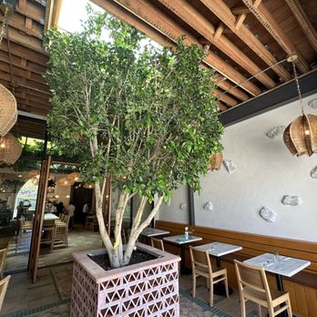 Corazon Cocina VTA - Seating area - Mexican Near Me - Ventura, California Corazon Cocina VTA - Seating area - Mexican Near Me - Ventura, California