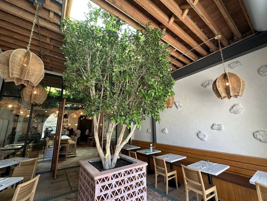 Corazon Cocina VTA by null