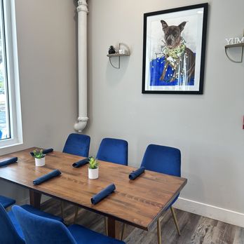Blue Dog Bistro - Beautiful blue seats at each table - Coffee & Tea Near Me - Gulfport, Mississippi