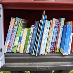 Little Free Library - Little Free Library, 95 Fir Glade Dr, Warwick