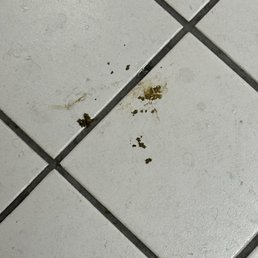Disgusting bathrooms these days.Gross. Feels understaffed. Disgusting bathrooms these days.Gross. Feels understaffed.