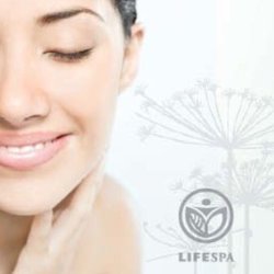 LifeSpa Collierville