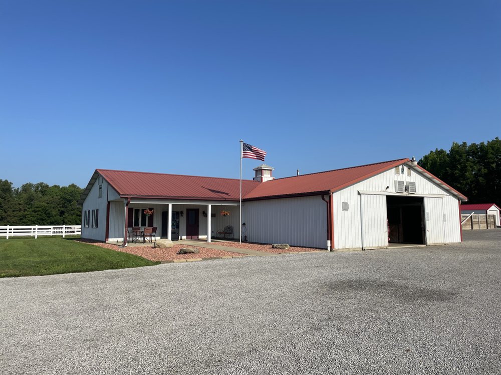 JX4 - equestrian in Massillon, OH