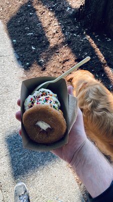 Sweet Alchemy Ice Creamery Ballard by null