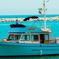 The Blue Moon Dolphin Cruise