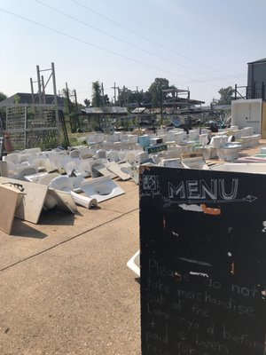 The Green Project by null