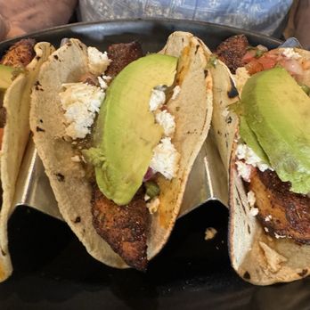Moondog Cafe & Bakery - Great tacos - Cafes Near Me - Key West, Florida Moondog Cafe & Bakery - Great tacos - Cafes Near Me - Key West, Florida