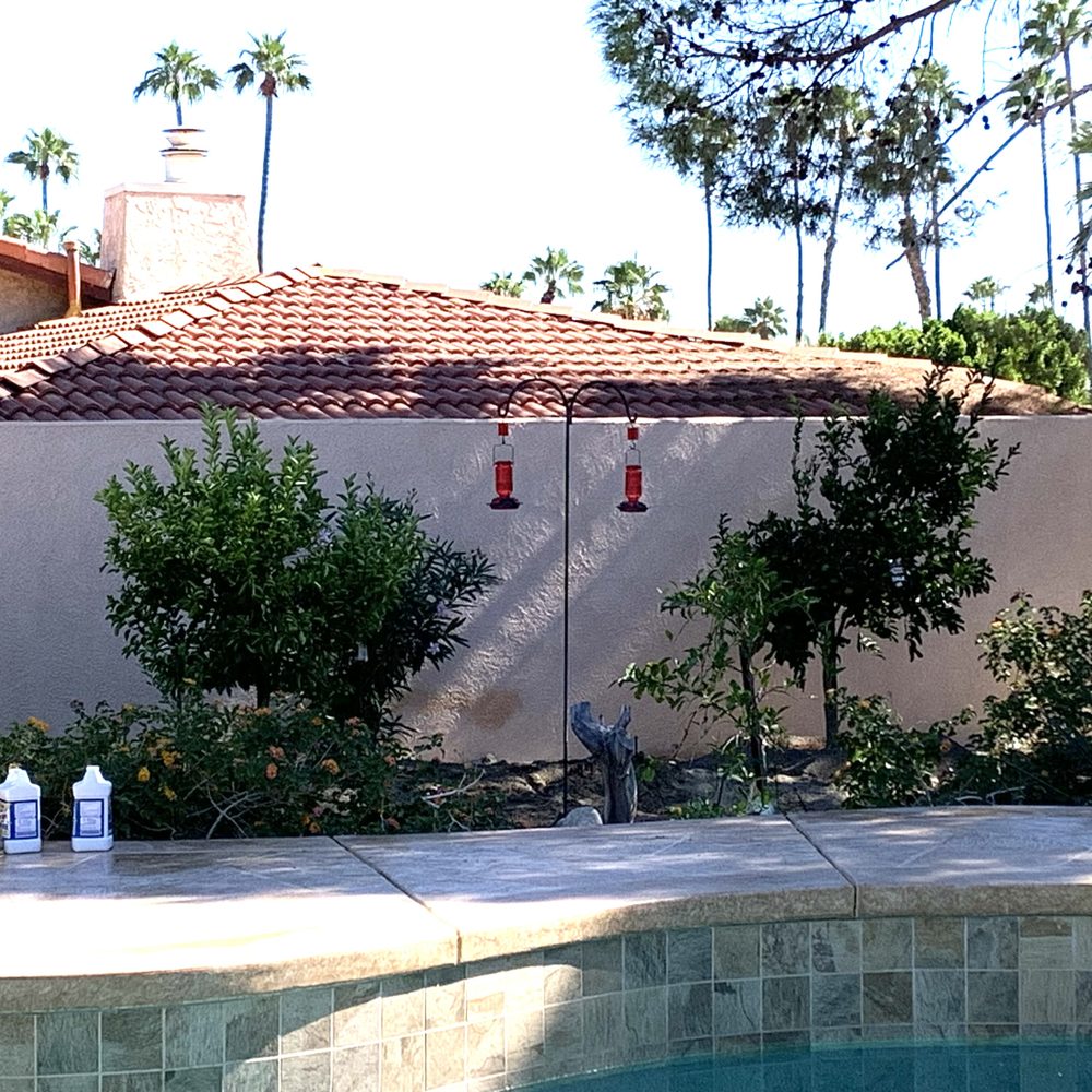 Moon Valley Nurseries - Mexican Lime and Mandarin trees - Nurseries & Gardening Near Me - Coachella, California