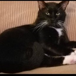 Bootsie Bootsie