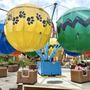 Photo of Balloon Race